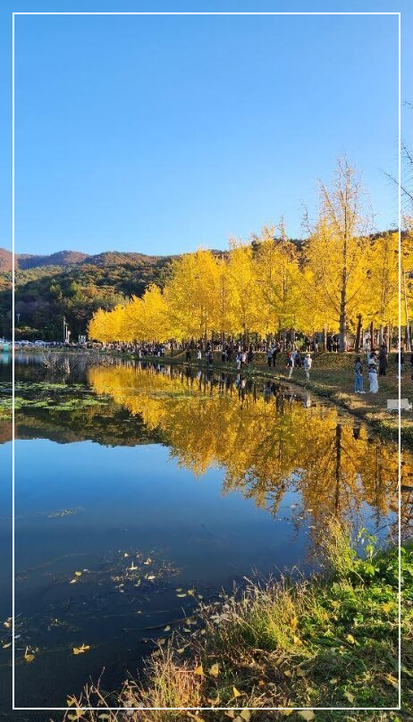 괴산 가볼만한곳 베스트10 문광저수지 뚝방길