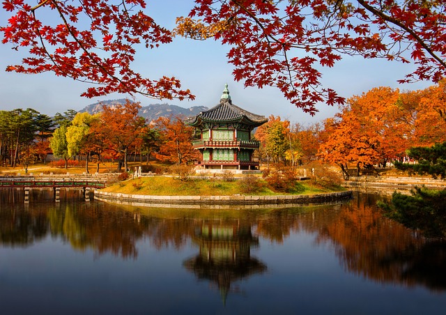 경복궁야간개장