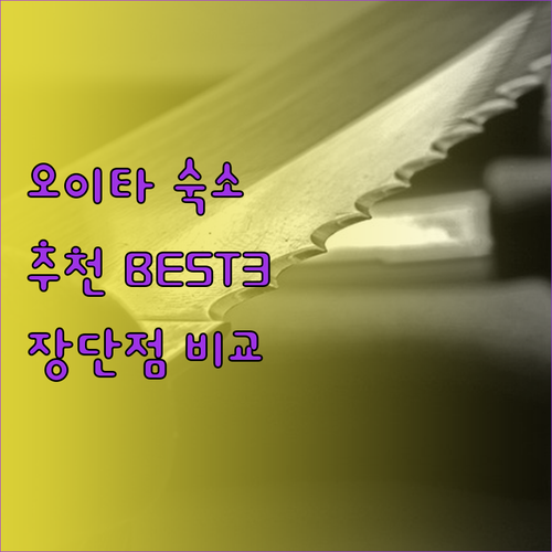 오이타 숙소 추천 아트호텔 대 마이스