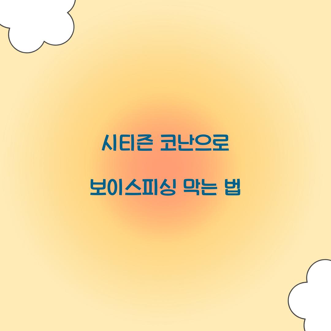 시티즌 코난