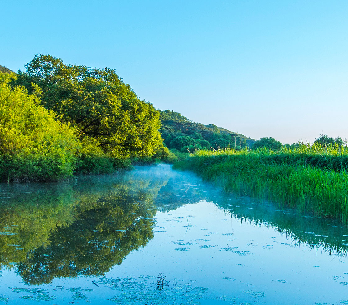 2025 창녕 낙동강 유채축제 총정리
