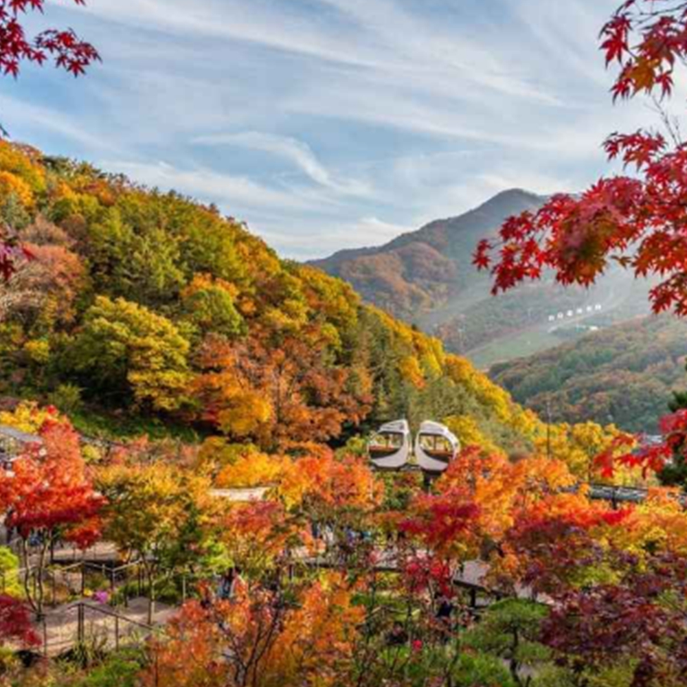 화담숲