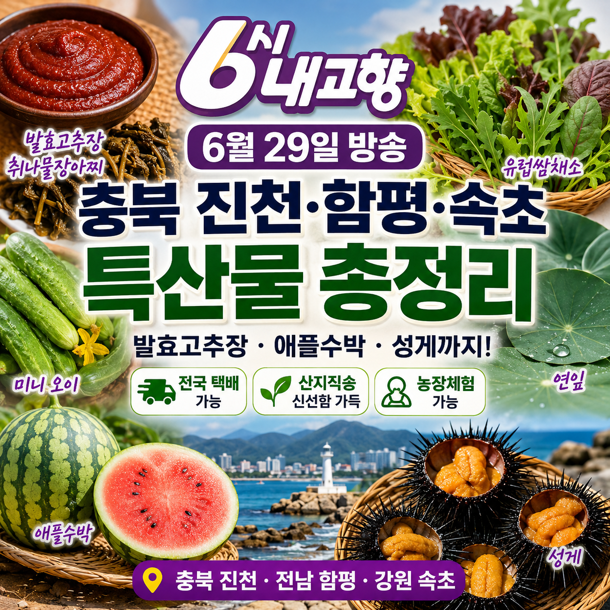 6시 내고향 6월 29일 방송정보
