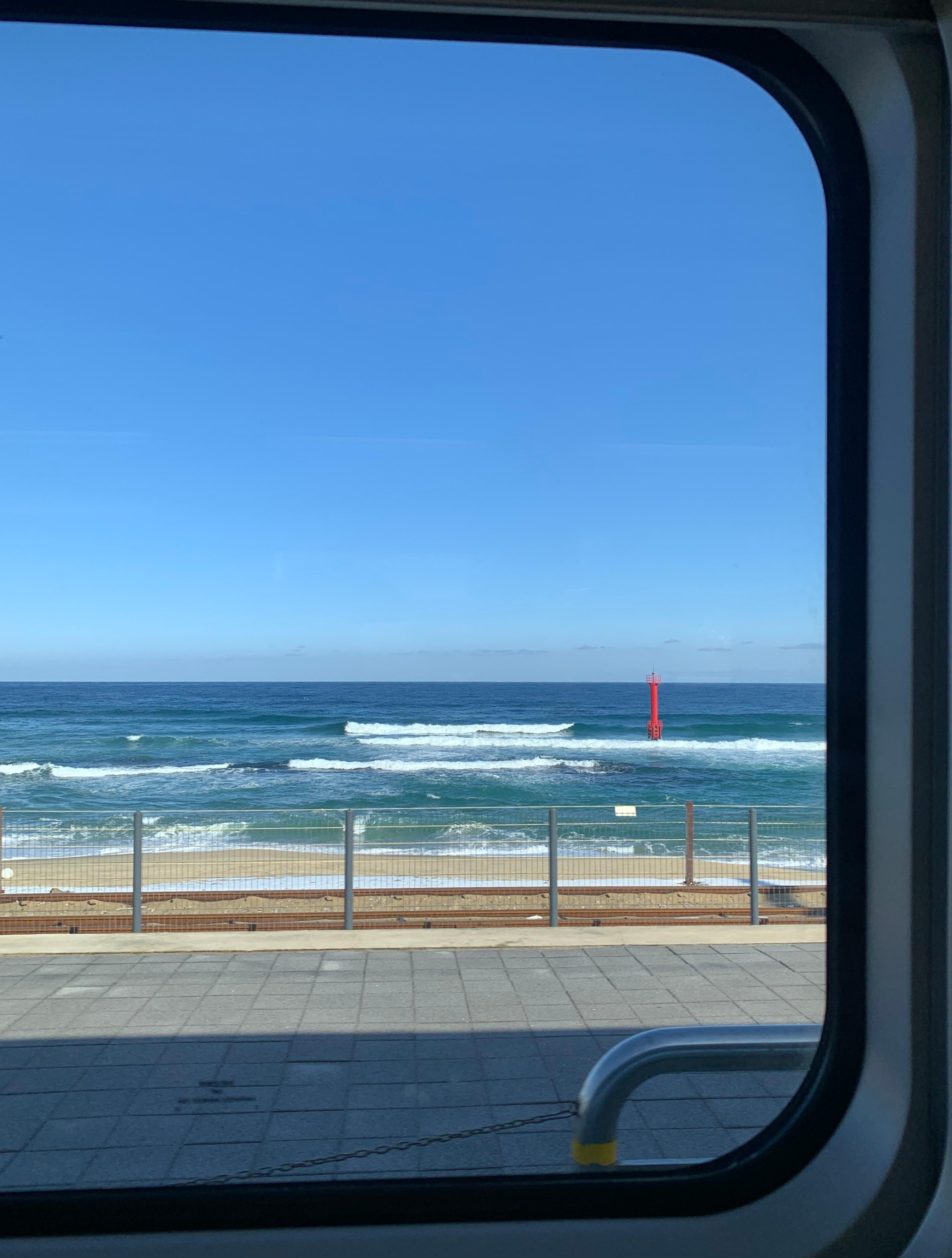 전현무계획에도 나온 묵호 오뚜기칼국수 후기🔥 겨울바다+장칼국수 조합 최고!