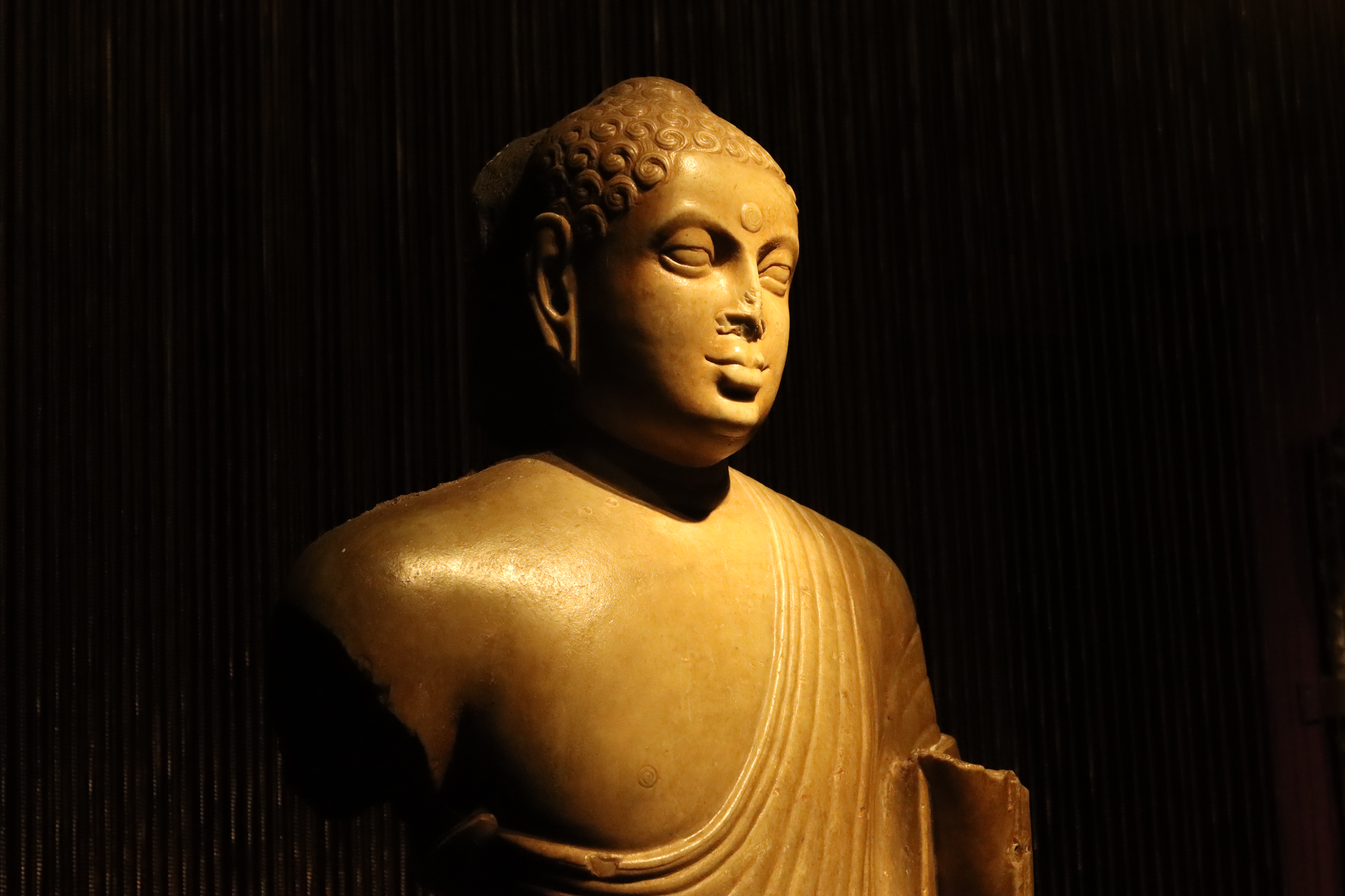 스투파의 숲
