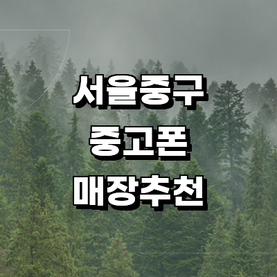 서울 중구 중고폰