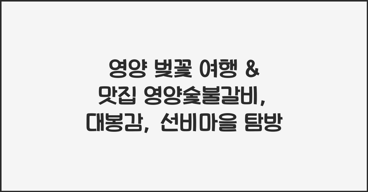 영양 벚꽃 여행