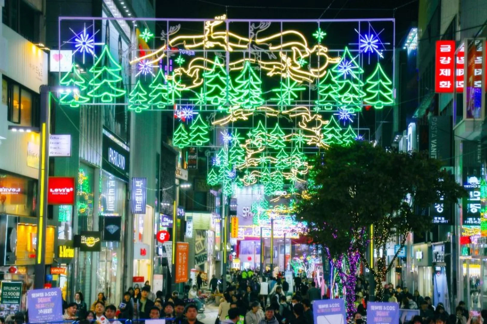 부산 빛축제 2월 무료관람 완벽가이드