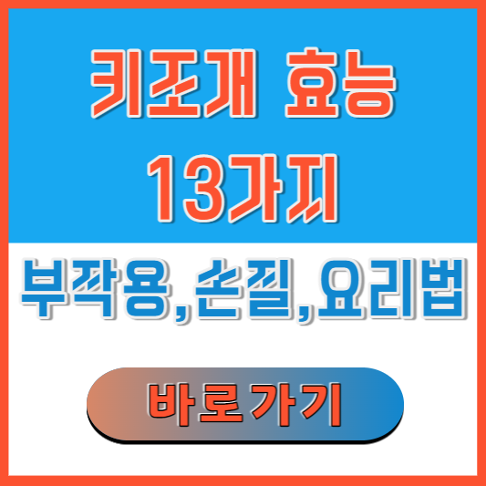 키조개-효능-13가지-부작용-손질법-요리법