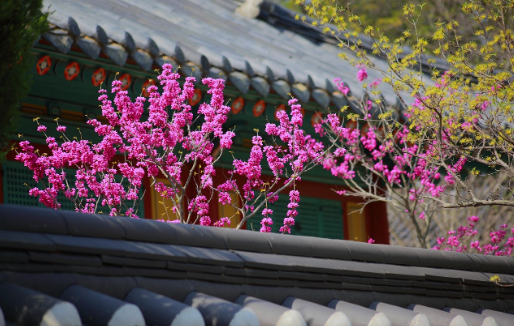 전주 한옥마을