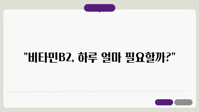 비타민B2 하루 권잩량
