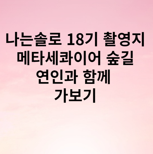 나는솔로 18기 촬영지 메타세콰이어 숲길 연인과 함께 가보기