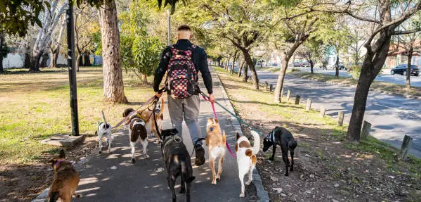할만한 부업 추천! 부담 없이 시작할 수 있는 10가지 부업