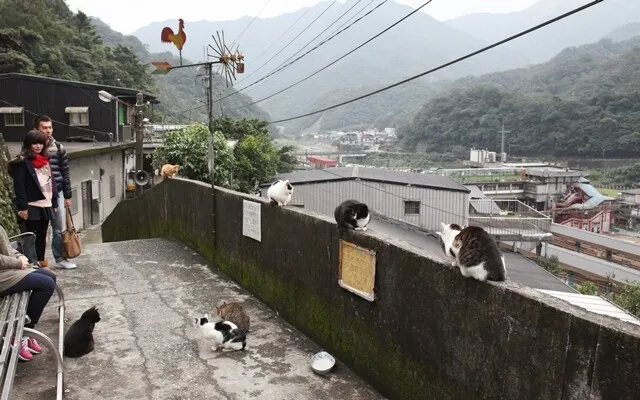 &amp;quot;대만