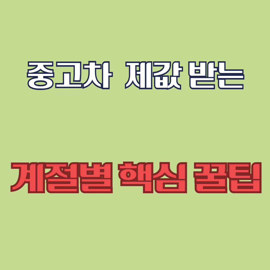 중고차 제값 받는 계절별 핵심 꿀팁