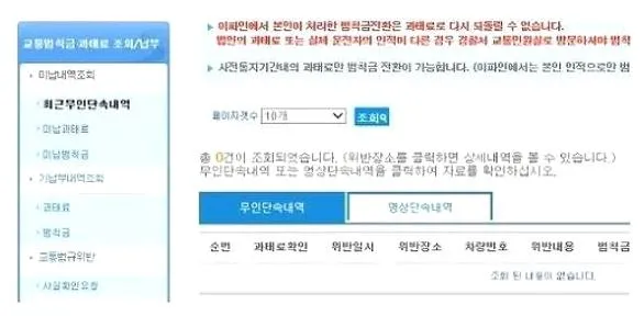 교통범칙금 납부