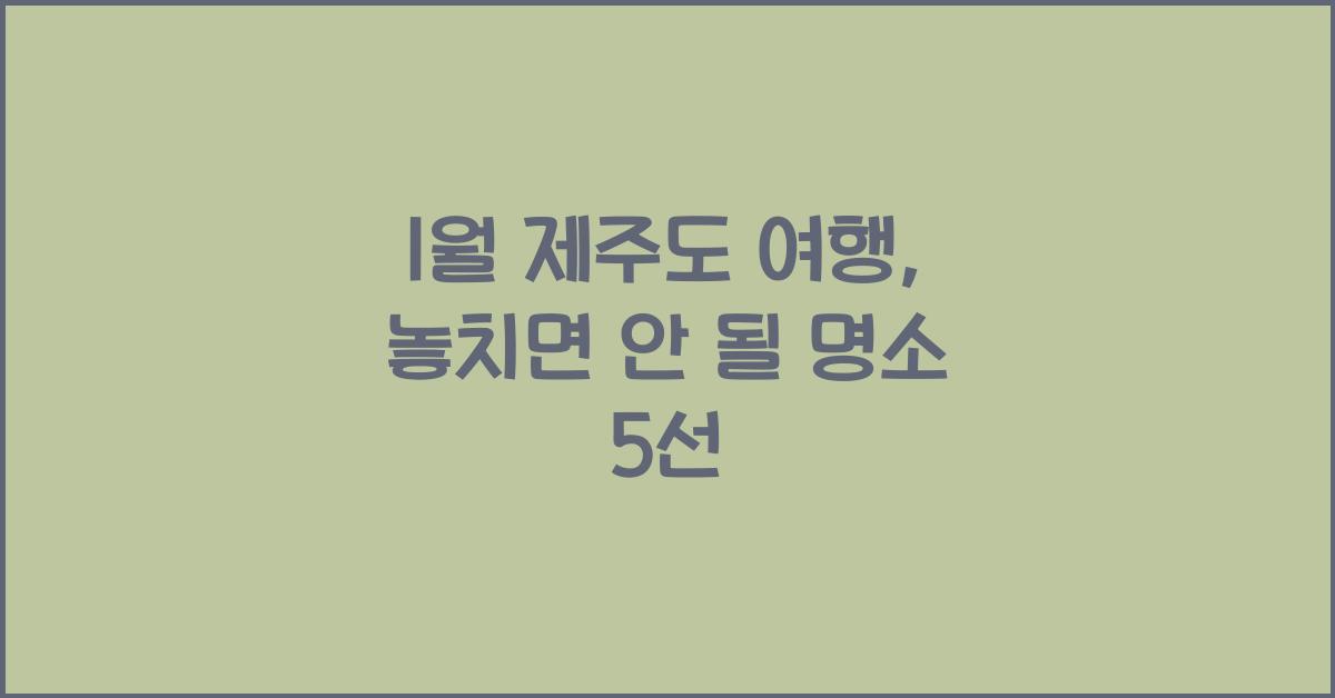 1월 제주도 여행