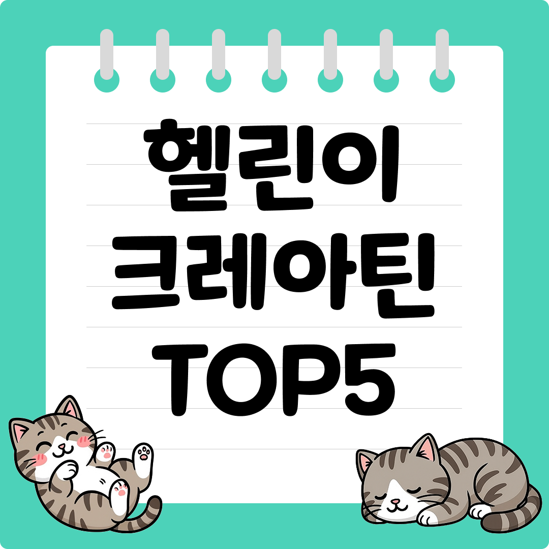 가성비 좋은 헬린이 크레아틴 추천 순위 TOP5