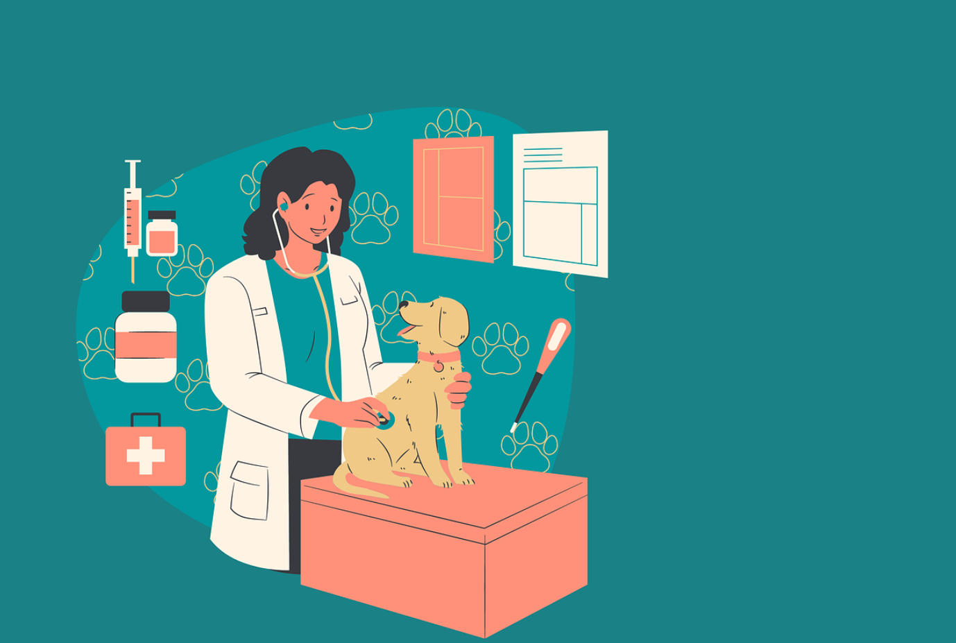 반려동물보건사의 하루는 언제 가장 긴장될까? :보호자는 모르는 병원 안의 순간들