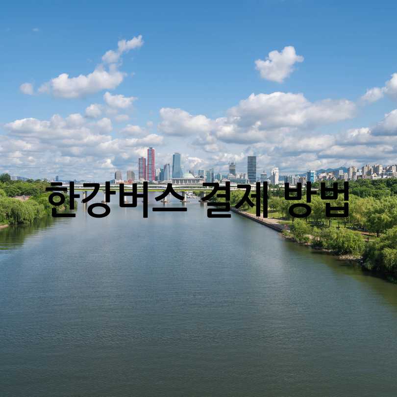 서울 한강버스