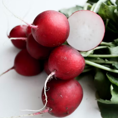 무 효능과 부작용