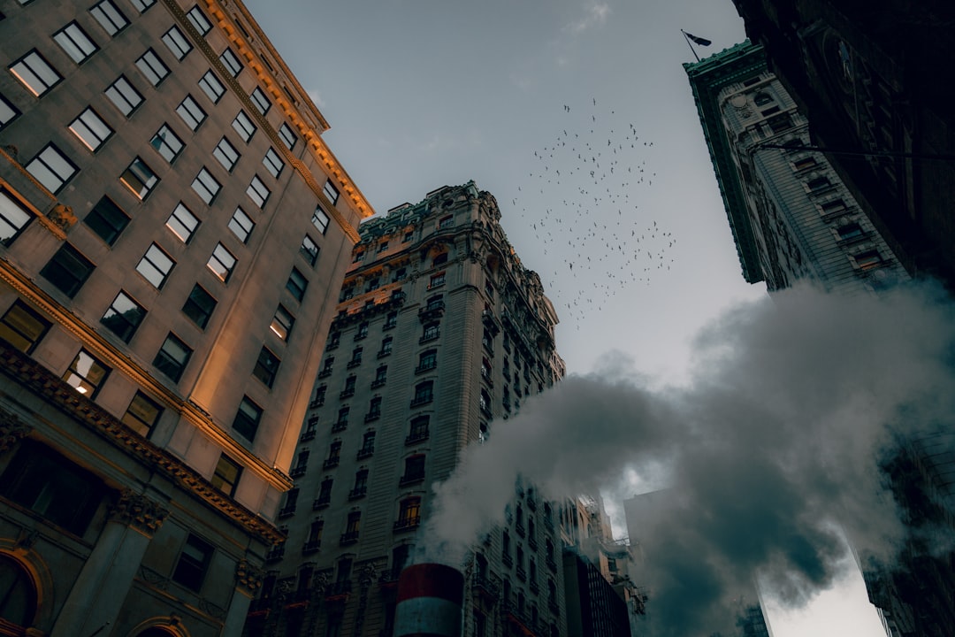 Lookup