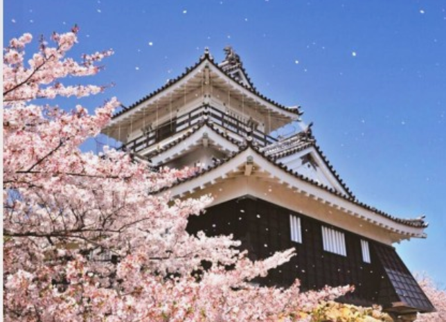 일본벚꽃명소