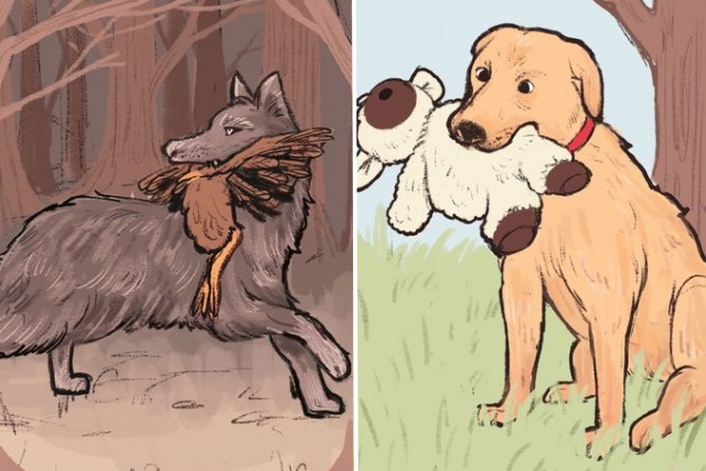 개 장난감 물고 흔들기 이유, 반려견 행동의미, 생활 팁줌 매일꿀정보