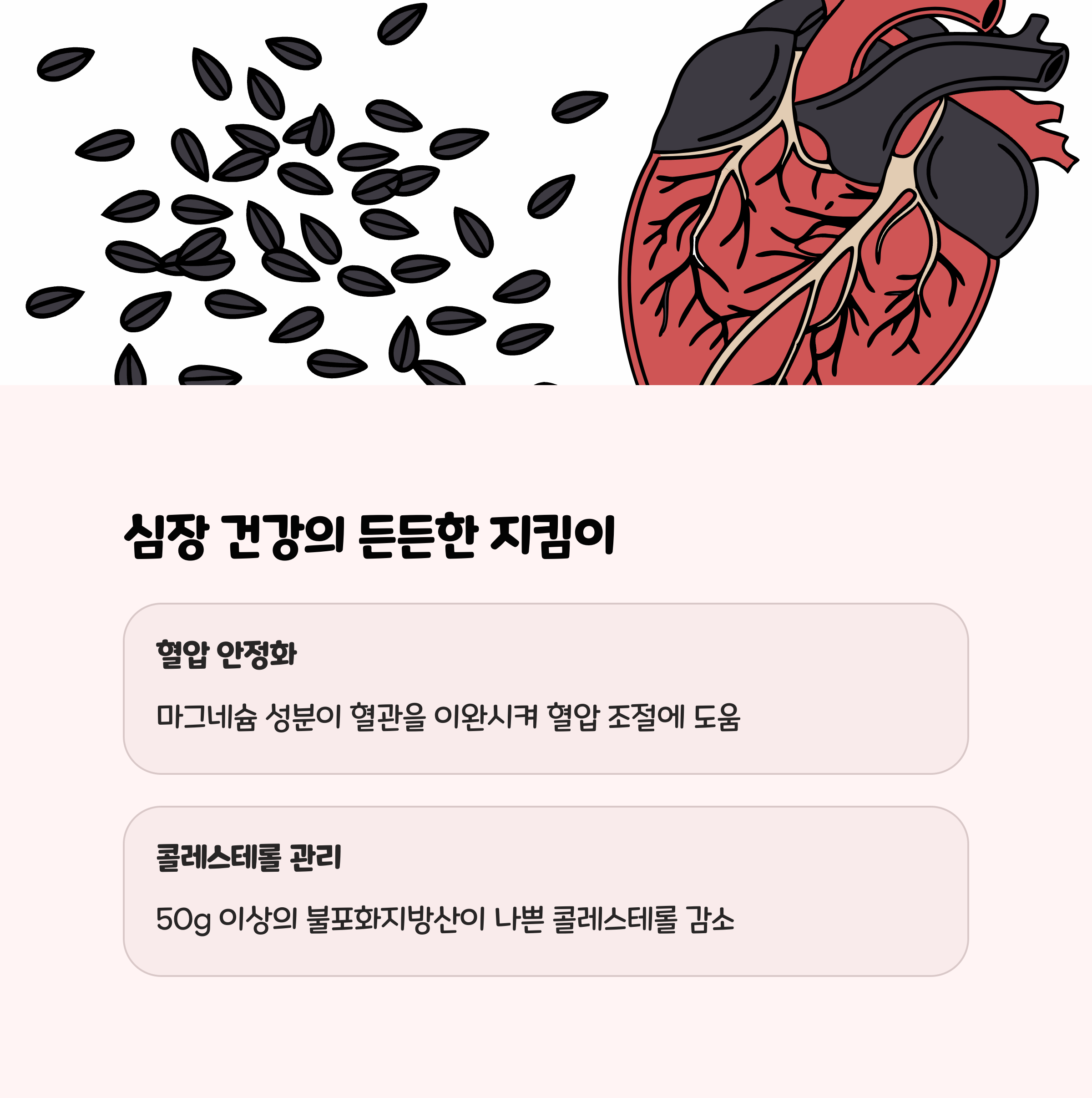 심장과 혈압에 좋은 자연 건강제