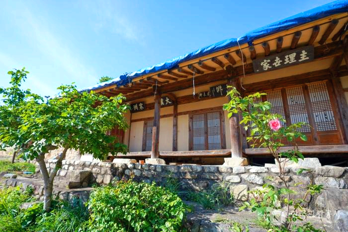 한옥집앞에 나무와식물 꽃이 피어있는 나무가 있다.