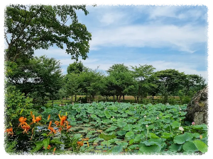 산북면에 위치한 주암정