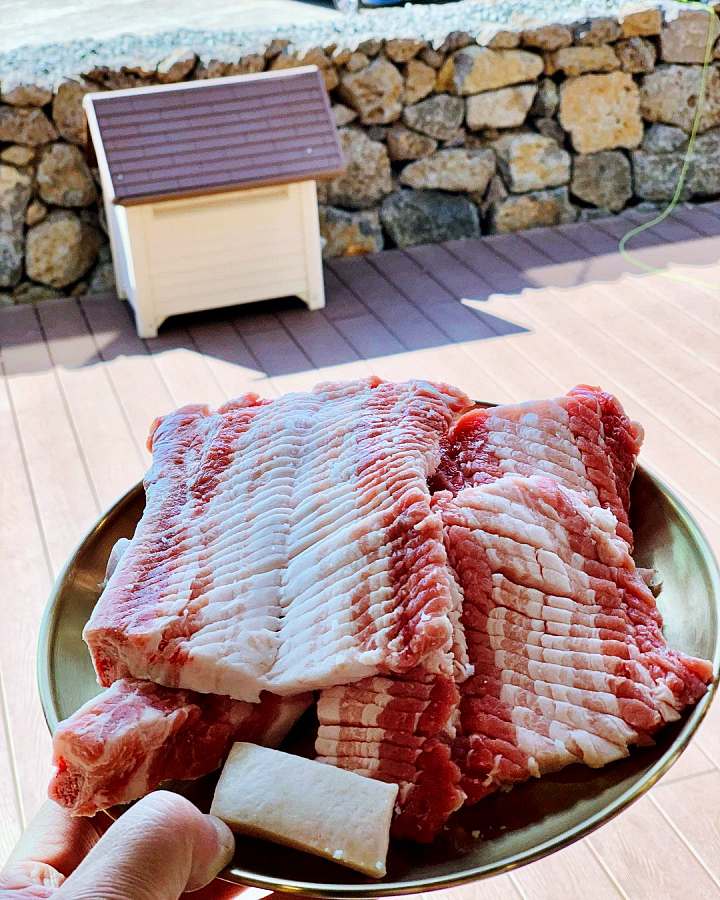 전참시 전지적참견시점 이영자 전현무 권율 흑돼지 생갈비 갈매기살 김치 몸국 절벽뷰 중문 맛있는 고깃집 제주 맛집 위치 메뉴 가격 정보