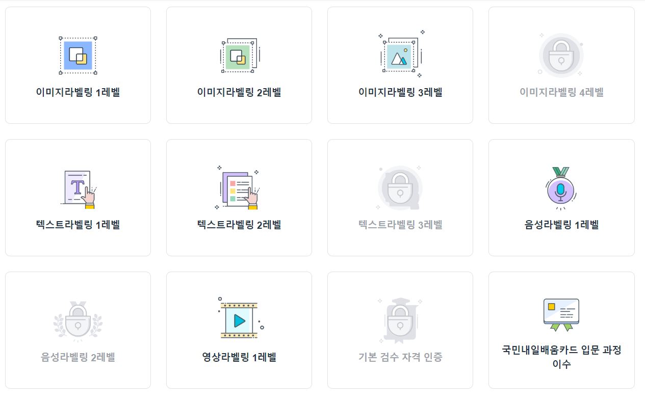 크라우드 웍스 배지 획득
