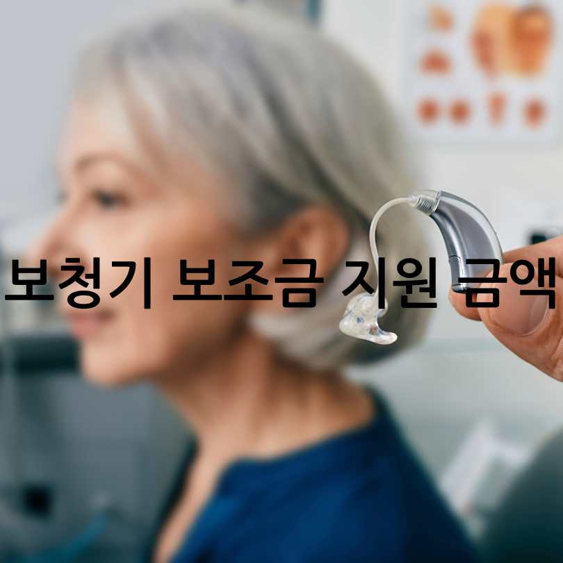 보청기 국가 보조금