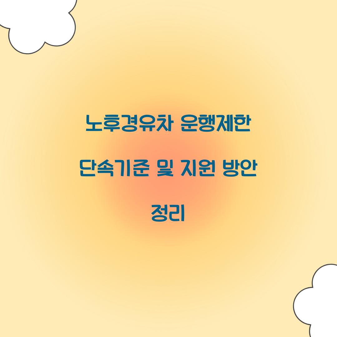 노후경유차 운행제한 단속기준
