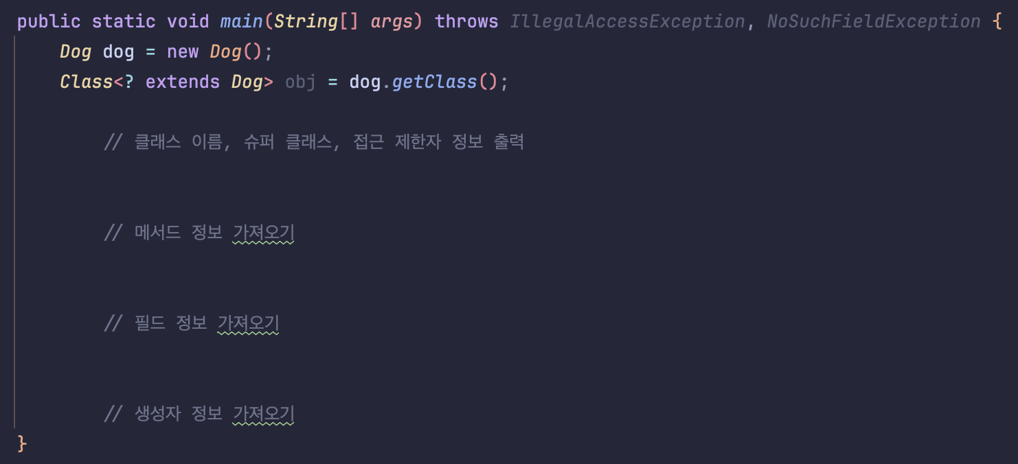 메인 메서드에서 리플렉션 사용하기