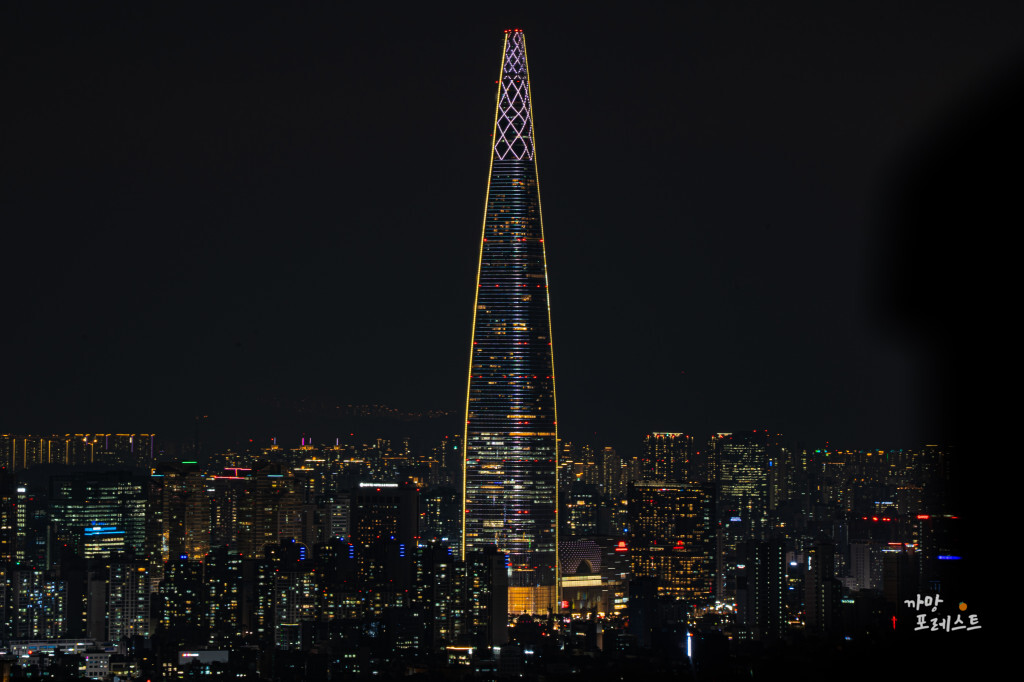 구룡산 롯데타워