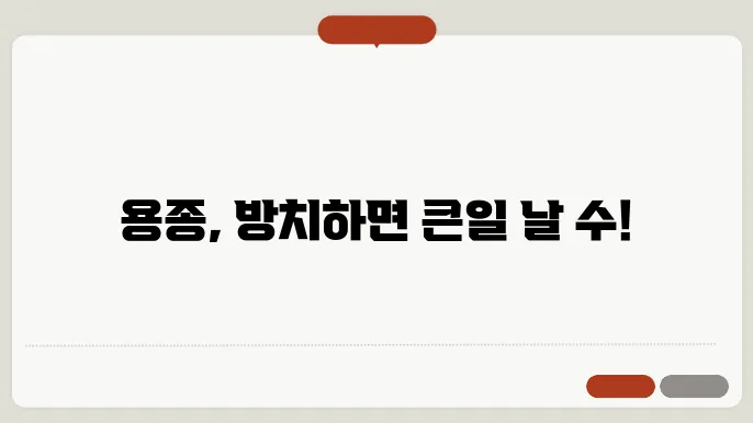담낭 용종, 십이지장 용종 치료방법 알아보기
