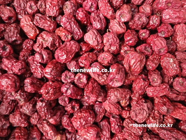 대추 효능 항산화 성분인 베타카로틴과 폴리페놀이 풍부한 붉은 대추 실물 사진으로 세포 노화 억제를 설명하는 이미지