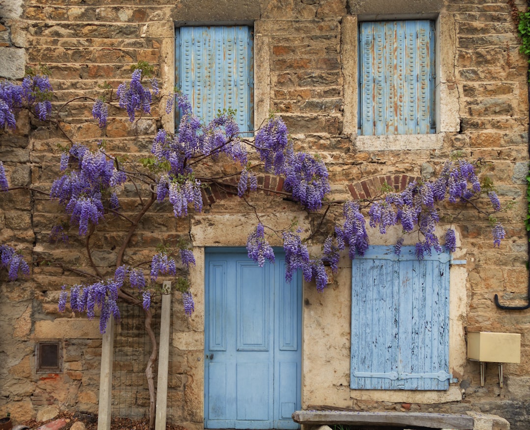 Glycine