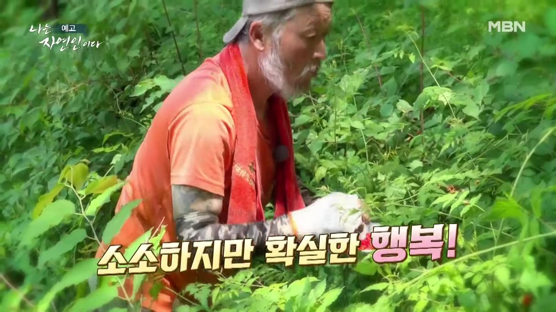 나는 자연인이다 낙상 사고 후유증, 산골 놀이터를 통해 회복, 산딸기 유기농 잼, 천마, 산삼 나눔, 출연료 기부, 키다리 아저씨 이제 착하게 삽니다 자연인 김기복 소개 및 이승윤 출연 560회회 다시보기