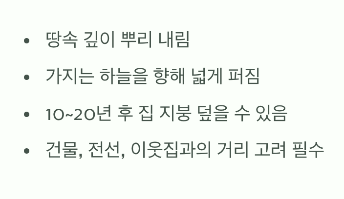 2. 한 뼘 땅이 아닌, 수십 년의 영토를 주어야