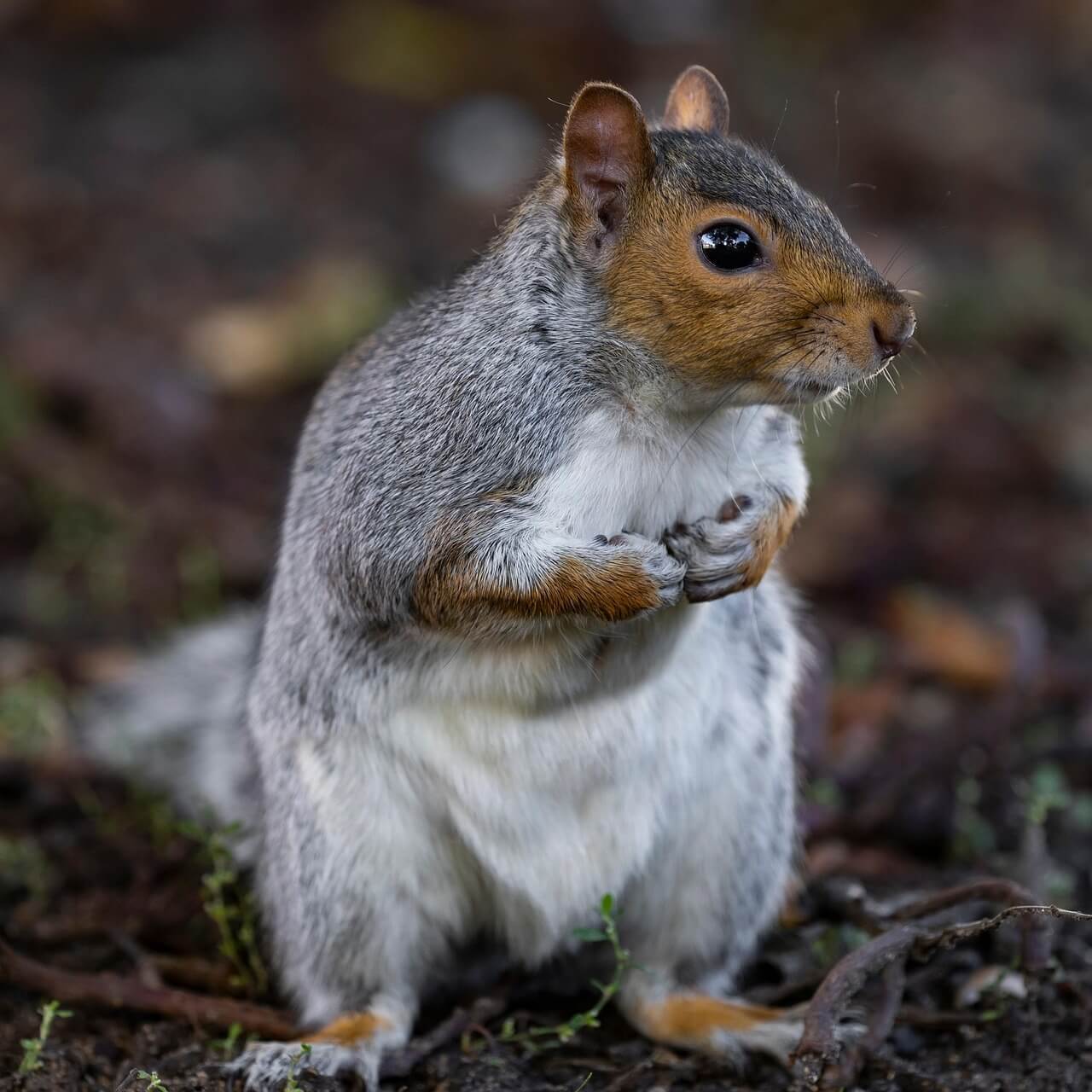 입동 날짜와 의미
