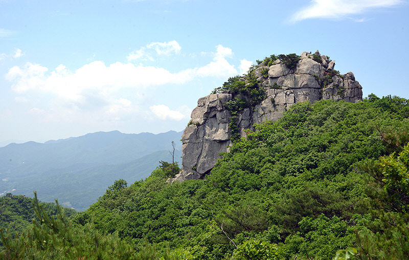 팔공산 등산코스 추천