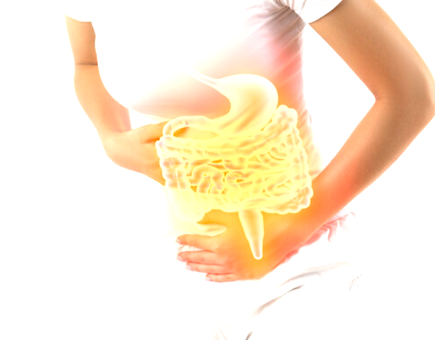 장 건강 논란