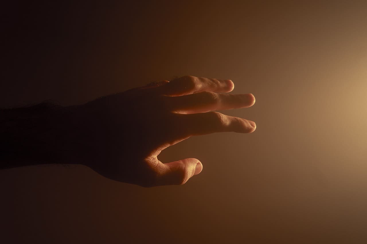 햇빛에 비치는 손