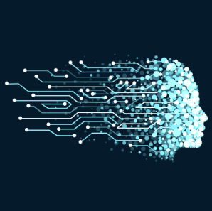 The organization of the future