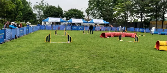 정남 펀랜드 이용 요금