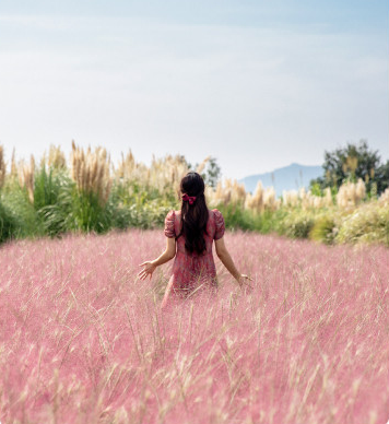 제주투어패스 구매&#44; 예약&#44; 사용방법