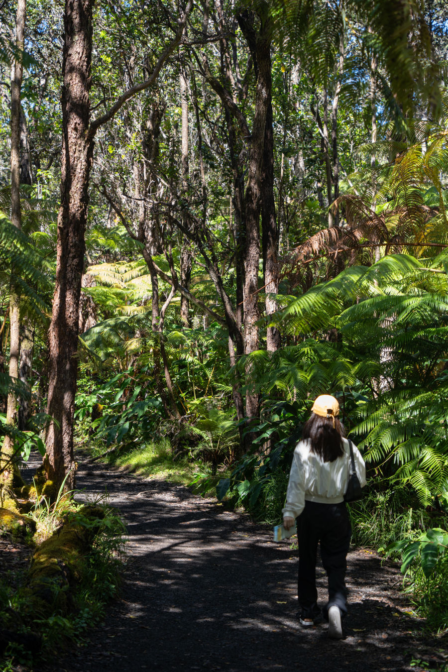 칼라우에아 이키 전망대 열대우림